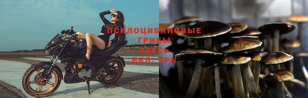 ешки Аркадак