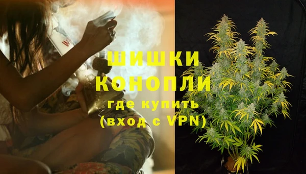 ешки Аркадак