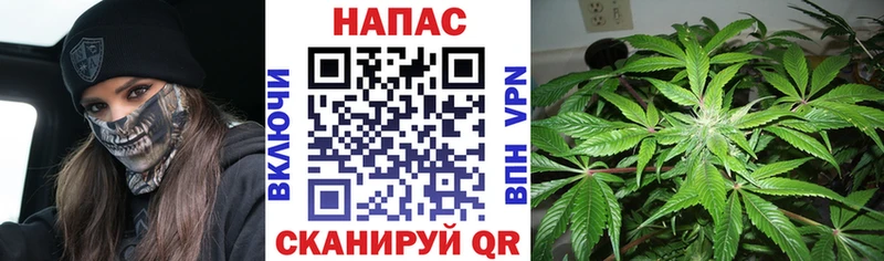 Бошки Шишки марихуана  Урюпинск 